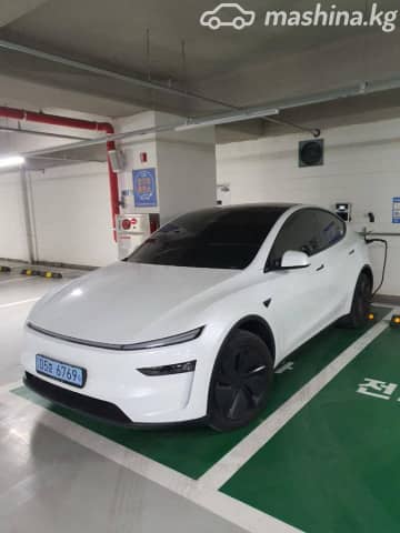 Tesla Model Y I Performance Electro AT 4WD