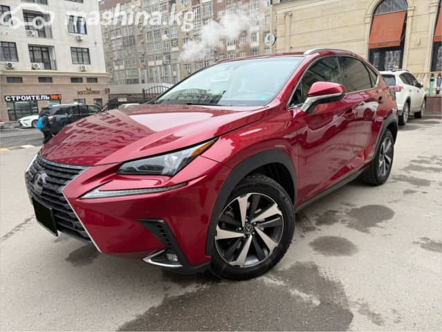 Lexus NX I Рестайлинг 300 2.0 AT 4WD