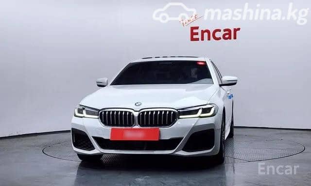BMW 5 серии VII (G30/G31) Рестайлинг 530i 2.0 AT