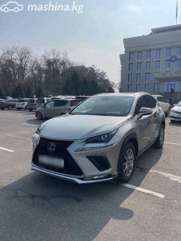 Lexus NX I Рестайлинг 300 2.0 AT