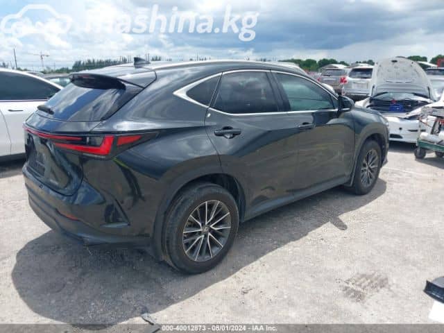 Lexus NX II 250 2.5 AT 4WD