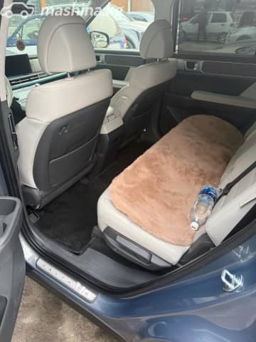 Hyundai Santa Fe V (MX5)