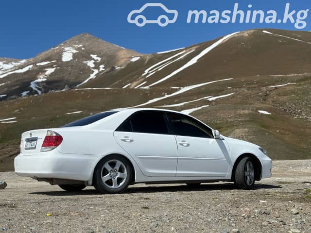 Toyota Camry V (XV30) 2.4 AT