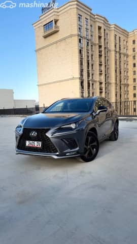 Lexus NX I Рестайлинг 300 2.0 AT 4WD