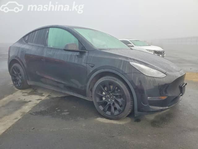 Tesla Model Y I Long Range Electro AT 4WD
