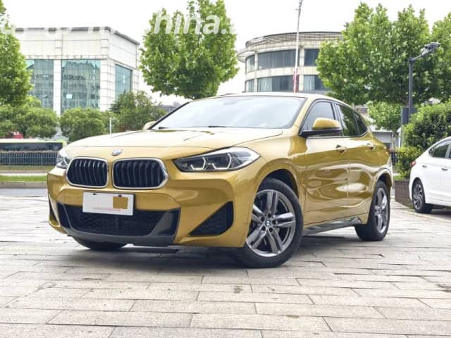 BMW X2 I (F39) sDrive25i 2.0 AMT