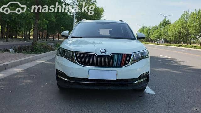 Skoda Kamiq I (China Market) 1.5 AT