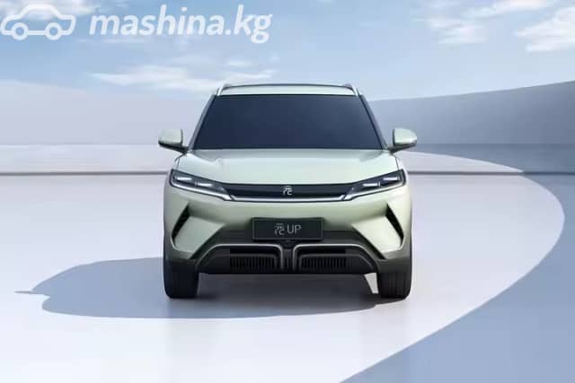 BYD Yuan Up 45.12 kWh Electro AT