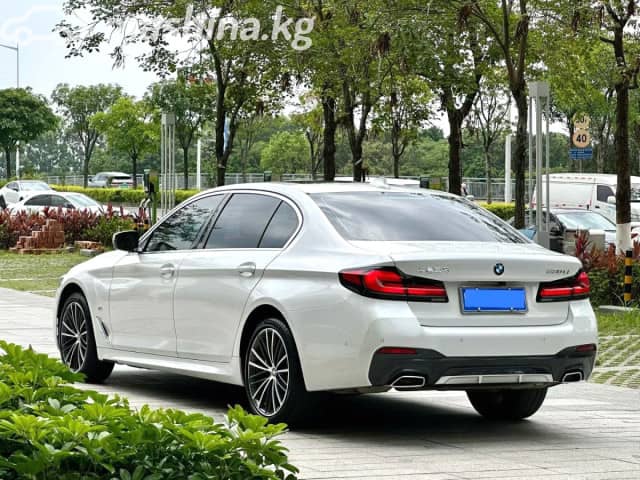 BMW 5 серии VIII (G60/G61/G68) 530Li 2.0 AT
