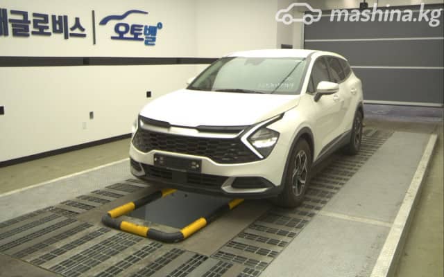 Kia Sportage V 1.6 AMT