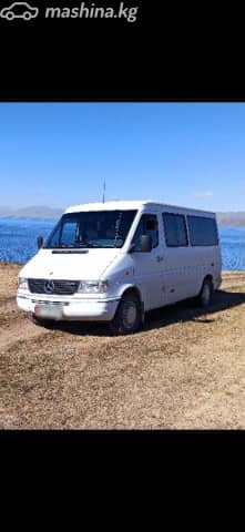 Mercedes-Benz Междугородный