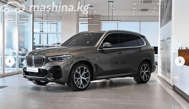 BMW X5 IV (G05/G18) 30d 3.0d AT 4WD