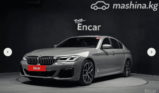 BMW 5 серии VII (G30/G31) Рестайлинг 530i 2.0 AT