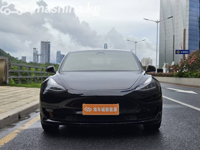 Tesla Model 3 I Standart Plus Electro AT