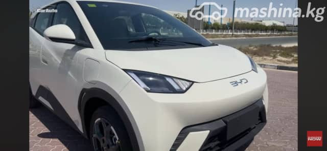 BYD Seagull 38.88 kWh Electro AT