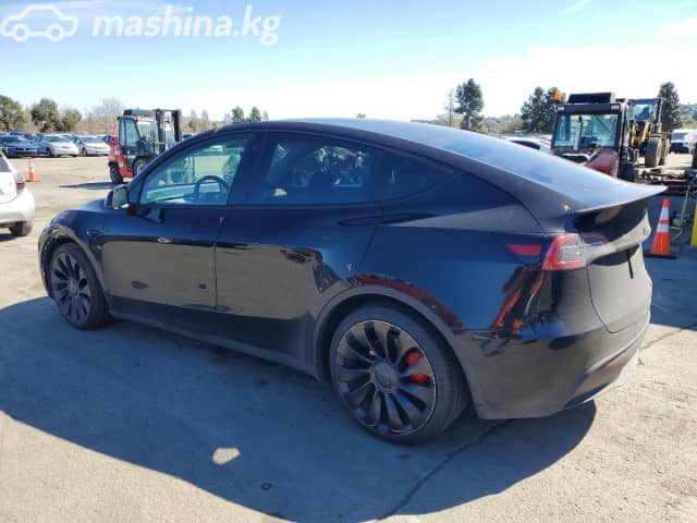 Tesla Model Y I Performance Electro AT 4WD
