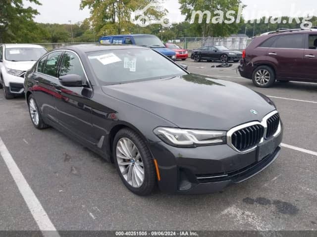 BMW 5 серии VII (G30/G31) Рестайлинг 530i 2.0 AT
