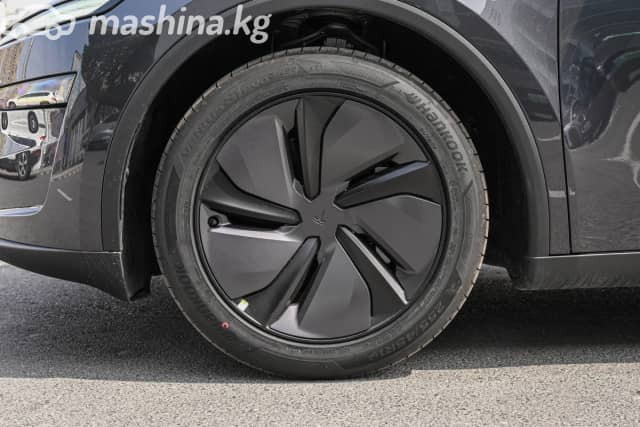 Tesla Model Y I Standard Electro AT