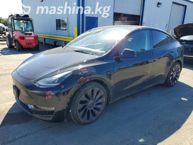 Tesla Model Y I Performance Electro AT 4WD