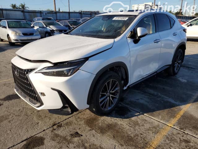 Lexus NX II 250 2.5 AT