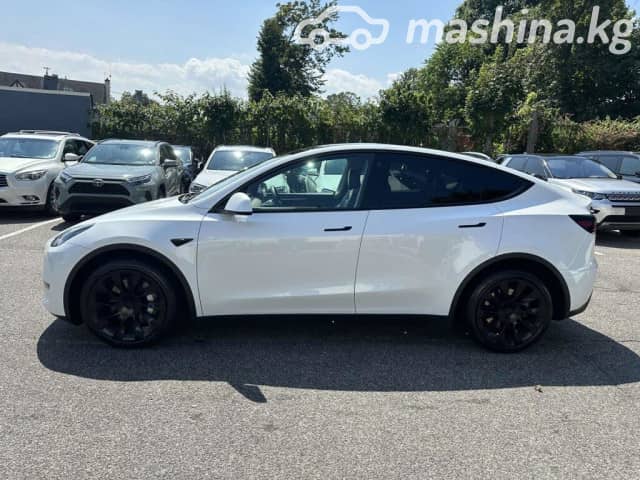 Tesla Model Y I Performance Electro AT 4WD