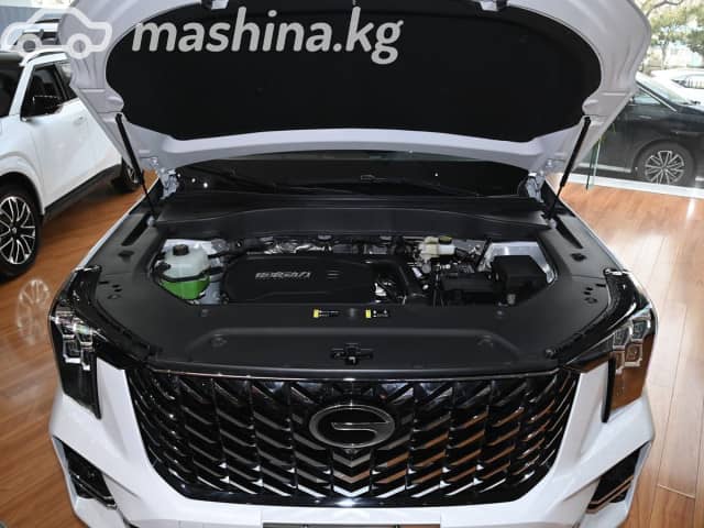 GAC Trumpchi GS8 II 2.0 AT
