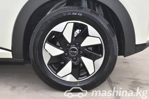 BYD Dolphin 44.9 kWh Electro AT