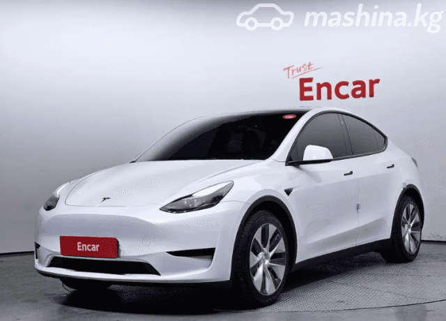 Tesla Model Y I Standard Electro AT
