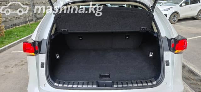 Lexus NX I Рестайлинг 300 2.0 AT