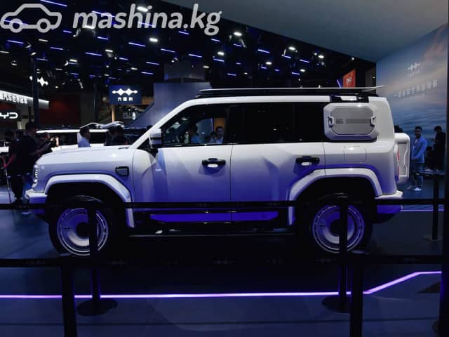BYD FangChengBao Leopard 5 1.5hyb CVT 4WD