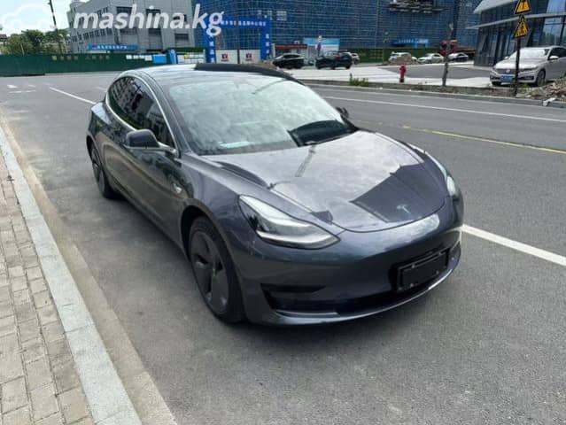 Tesla Model 3 I Standart Electro AT