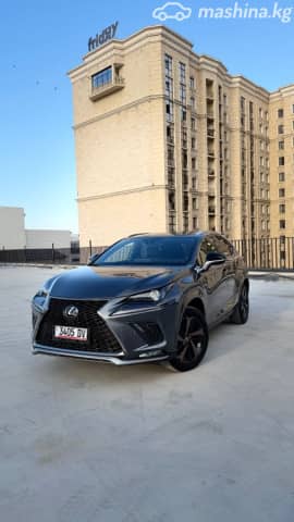 Lexus NX I Рестайлинг 300 2.0 AT 4WD