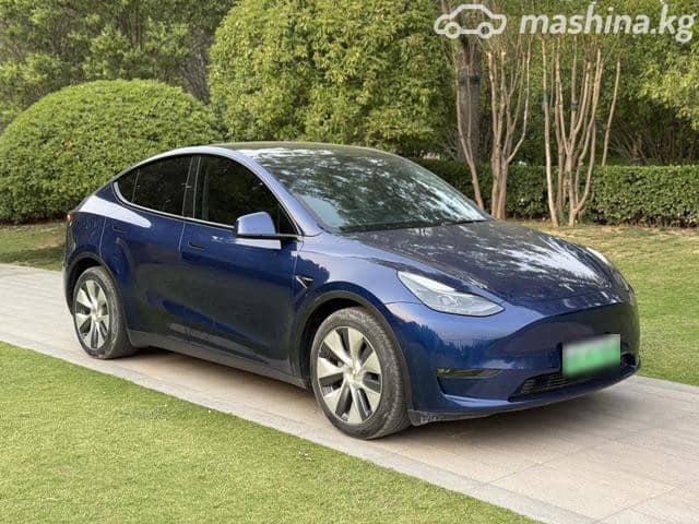 Tesla Model Y I Long Range Electro AT