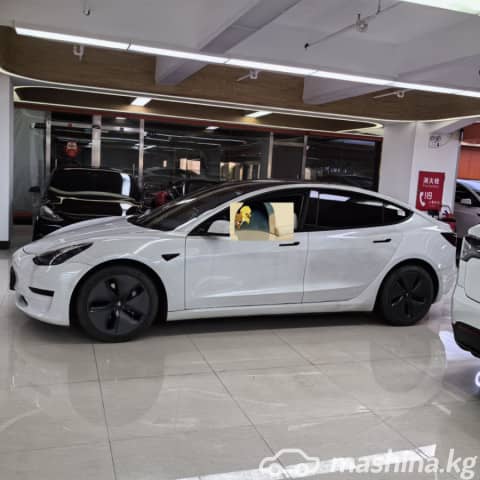Tesla Model 3 I Long Range Electro AT