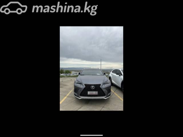 Lexus NX I Рестайлинг 300 2.0 AT 4WD