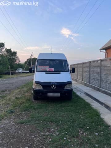 Mercedes-Benz Междугородный