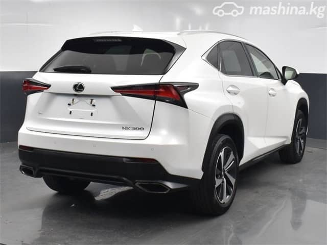 Lexus NX I Рестайлинг 300 2.0 AT 4WD