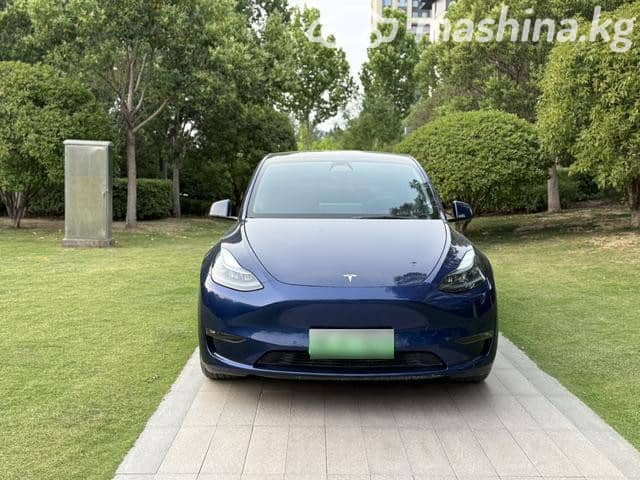 Tesla Model Y I Long Range Electro AT