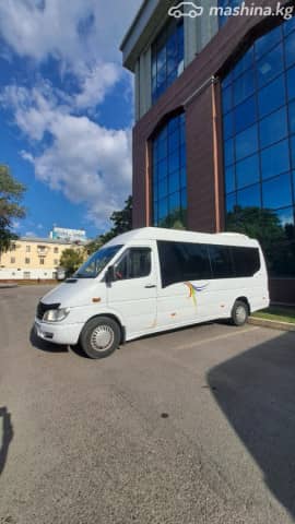 Mercedes-Benz Туристический