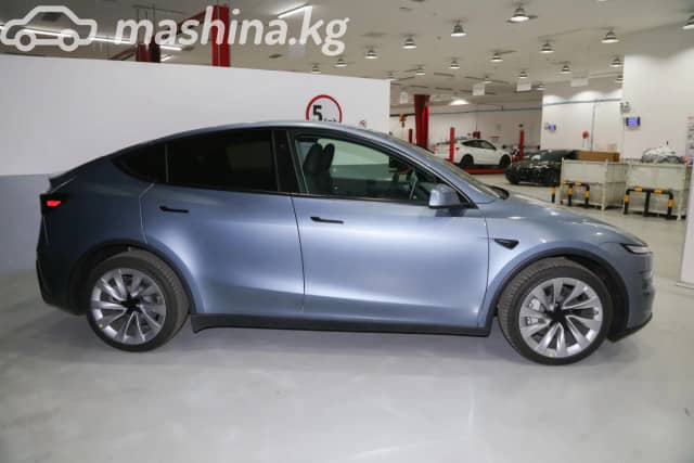 Tesla Model Y I Standard Electro AT