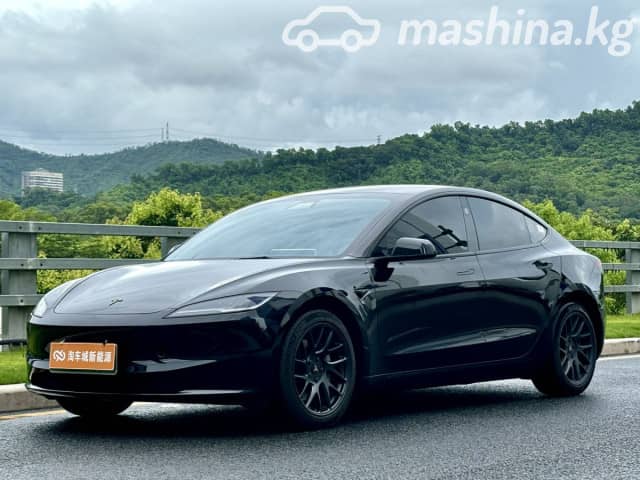 Tesla Model 3 I Standart Plus Electro AT