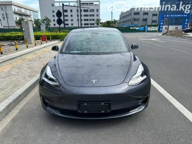 Tesla Model 3 I Standart Electro AT
