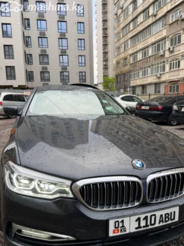 BMW 5 серии VII (G30/G31) 520d xDrive 2.0d AT 4WD