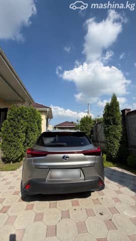 Lexus UX I 250h 2.0hyb CVT