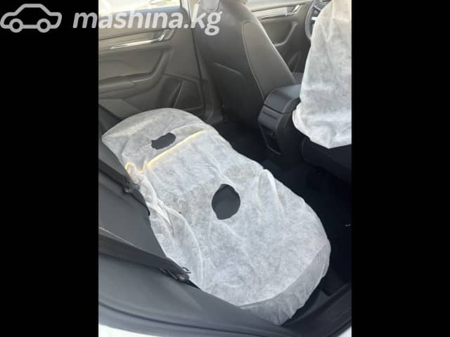Skoda Kamiq I (China Market) 1.5 AT