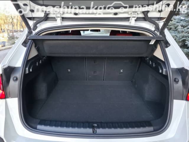 BMW X1 III (U11/U12) 25Li sDrive 2.0 AMT