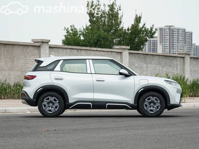 BYD Yuan Up Electro AT 4WD