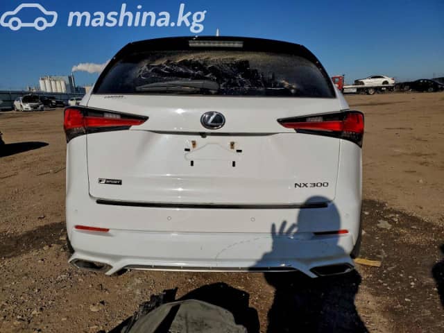 Lexus NX I Рестайлинг 300 2.0 AT 4WD