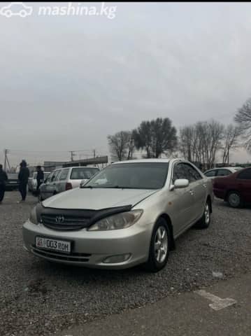 Toyota Camry V (XV30) 3.0 AT
