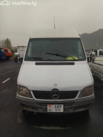 Mercedes-Benz Междугородный